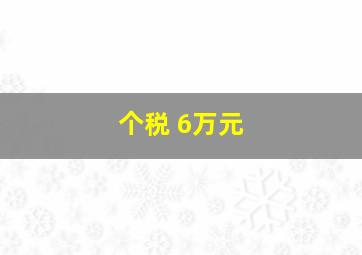 个税 6万元